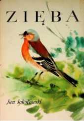 Okładka książki Zięba Jan Sokołowski