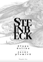 Okładka książki Długa dolina. Jasny płomień John Steinbeck