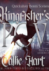 Quicksilver Bonus Scenes: Kingfisher's POV