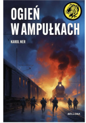 Okładka książki Ogień w ampułkach Karol Ner