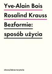 Okładka książki Bezformie: sposób użycia Yve-Alain Bois,&nbsp;Rosalind E. Krauss