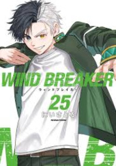 Okładka książki Wind Breaker #25 Satoru Nii