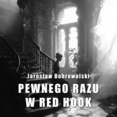 Okładka książki Pewnego razu w Red Hook Jarosław Dobrowolski
