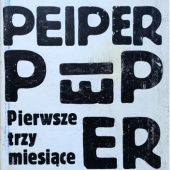 Okładka książki Pierwsze trzy miesiące Tadeusz Peiper