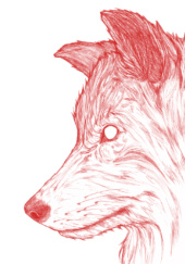 Okładka książki Kapturek czerwony jak krew Krzysztof Fiszer