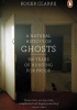 Okładka książki A Natural History of Ghosts. 500 years of hunting for proof. Roger Clarke
