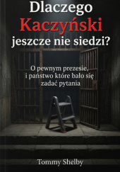 Dlaczego Kaczyński jeszcze nie siedzi? O pewnym prezesie, i państwie które bało się zadać pytania