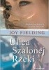 Okładka książki Ulica Szalonej Rzeki Joy Fielding