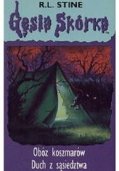 Okładka książki Obóz koszmarów. Duch z sąsiedztwa R.L. Stine