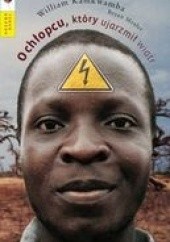 Okładka książki O chłopcu, który ujarzmił wiatr William Kamkwamba, Bryan Mealer