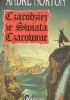 Okładka książki Czarodziej ze świata czarownic Andre Norton
