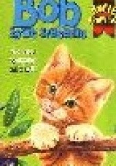 Okładka książki Kocie opowieści: Bob żywe sreberko Jenny Dale