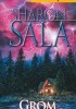 Okładka książki Grom Sharon Sala