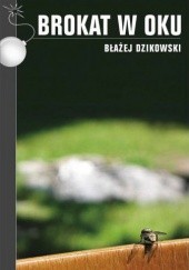 Okładka książki Brokat w Oku Błażej Dzikowski