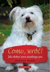 Okładka książki Como, wróć! Jak zdobyć serce nieufnego psa Steven Winn