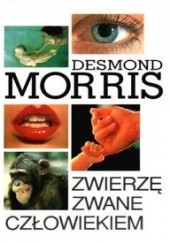 Okładka książki Zwierzę zwane człowiekiem Desmond Morris
