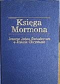 Księga Mormona - Jeszcze Jedno Świadectwo o Jezusie Chrystusie