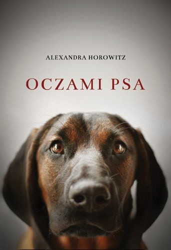 Okładka książki Oczami psa Alexandra Horowitz