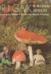 Okładka książki Bór i Gaik w barwach jesieni Jerzy Michał Czarnecki, Marek Piotr Krzemień, Marek Pietrzak