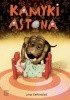 Okładka książki Kamyki Astona Lotta Geffenblad