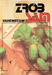 Okładka książki Zrób sam: vademecum - encyklopedia majsterkowania. Tom Y Seweryn Bidziński