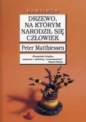 Okładka książki Drzewo, na którym narodził się człowiek Peter Matthiessen