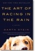The art of racing in the rain