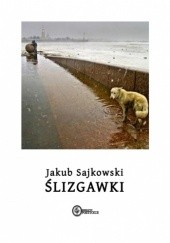 Okładka książki Ślizgawki Jakub Sajkowski