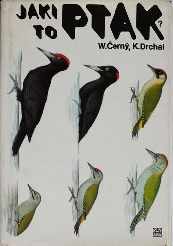 Okładka książki Jaki to ptak? Walter Černý, Karel Drchal