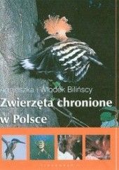 Okładka książki Zwierzęta chronione w Polsce Agnieszka Bilińska, Włodek Biliński