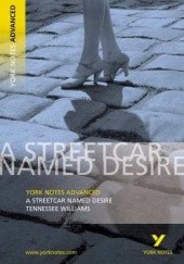 Okładka książki Tramwaj Zwany Pożądaniem Tennessee Williams
