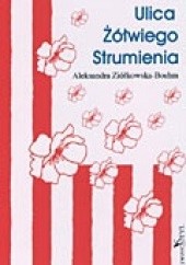 Okładka książki Ulica Żółwiego Strumienia Aleksandra Ziółkowska-Boehm