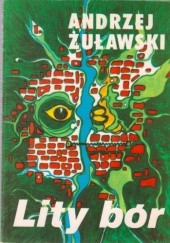 Okładka książki Lity Bór Andrzej Żuławski