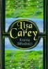Okładka książki Kraina Młodości Lisa Carey