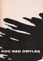 Okładka książki Noc nad Omylną : opowieść z roku 1945 Stanisław Strumph Wojtkiewicz