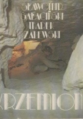 Okładka książki Krzemionki Sławomir Sałaciński, Marek Zalewski