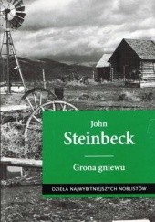 Okładka książki Grona gniewu John Steinbeck