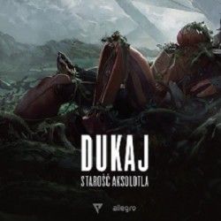  Ebook na miarę książki