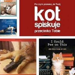 Pięć książek o kotach, o istnieniu których nie wiedziałeś ani Ty, ani Twój kot...