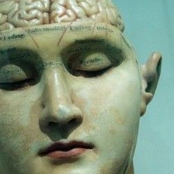 Artykuł Poczytajmy o demencji