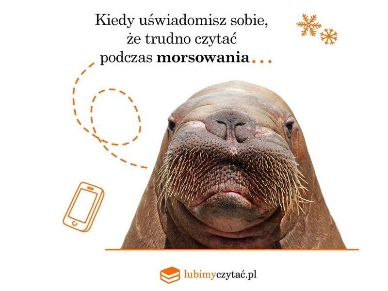  Morsowanie – nowy narodowy sport Polaków? Oto 5 książek o morsach i morsowaniu