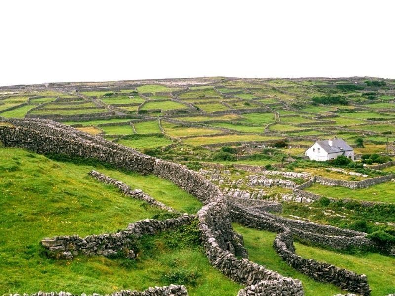 Tajemnice Zielonej Wyspy – 5 książek o Irlandii