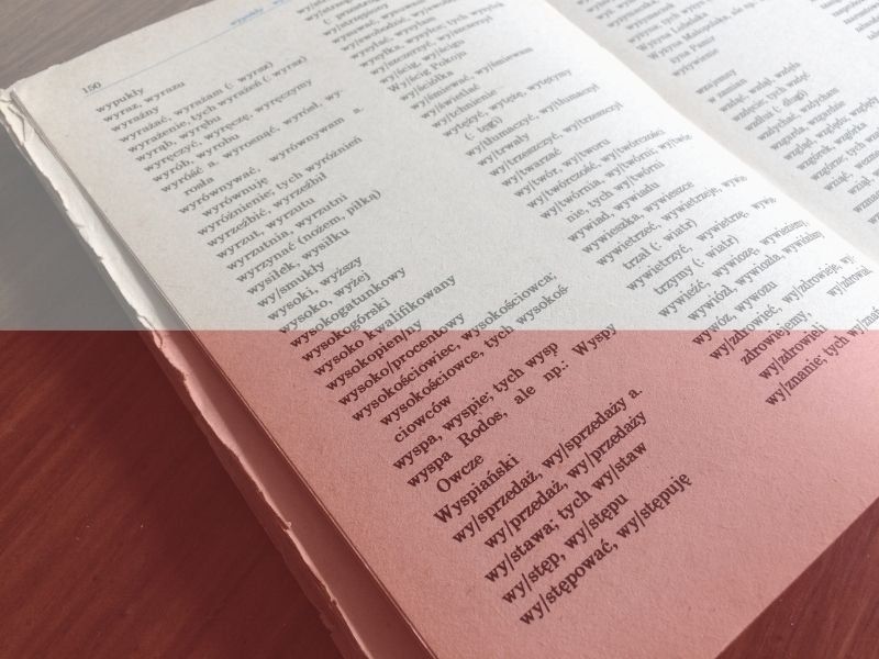  Językowy obraz świata – słowniki w kulturze i literaturze