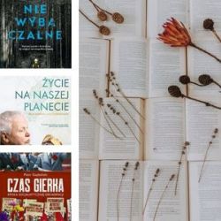 Artykuł Czytamy w weekend