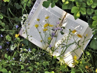  Książki na lato: które warto przeczytać w wakacje?