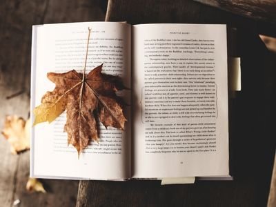 Książki na jesień: tytuły, po które warto sięgnąć