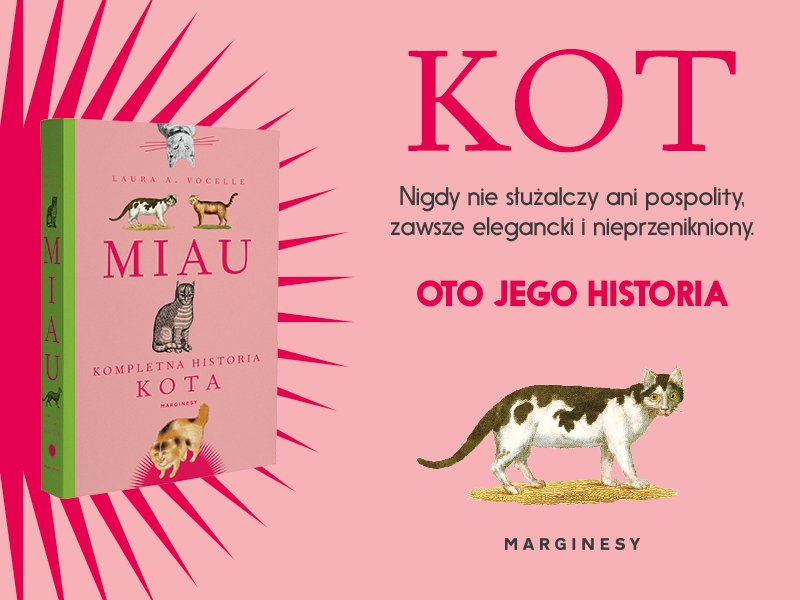 Zostań recenzentem książki „Miau. Kompletna historia kota” Laury A. Vocelle!