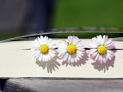 Artykuł „Wiosna, ach, to ty!” – 8 wiosennych książek
