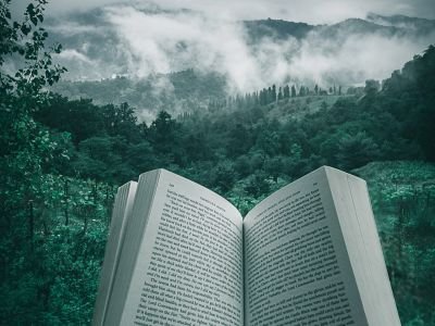 Artykuł Książki o przyrodzie: daj się ponieść pięknu i sile natury podczas lektury!
