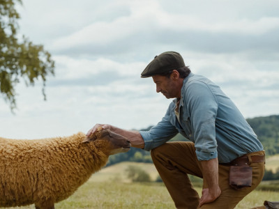 Premiera 8 maja! Wygraj bilet na seans filmu „Sprawiedliwość owiec”